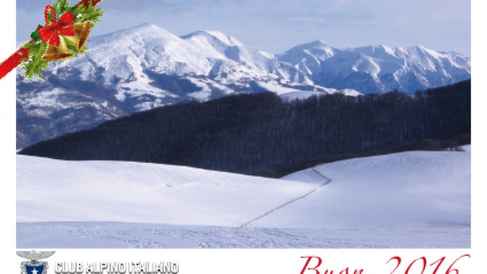 CARTOLINA-felice2016.jpg