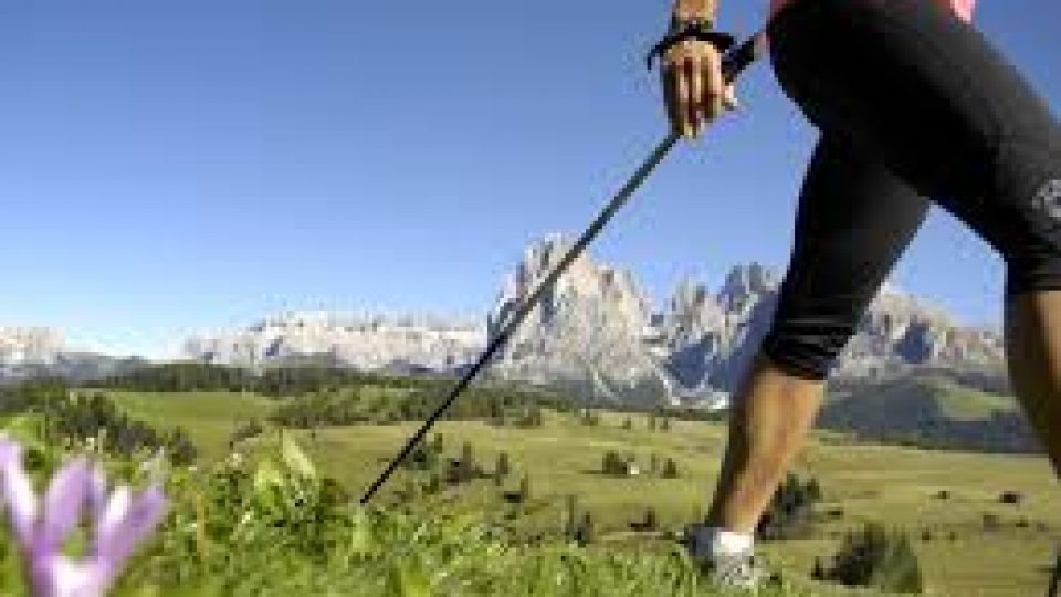 Nordic-Walking.jpg